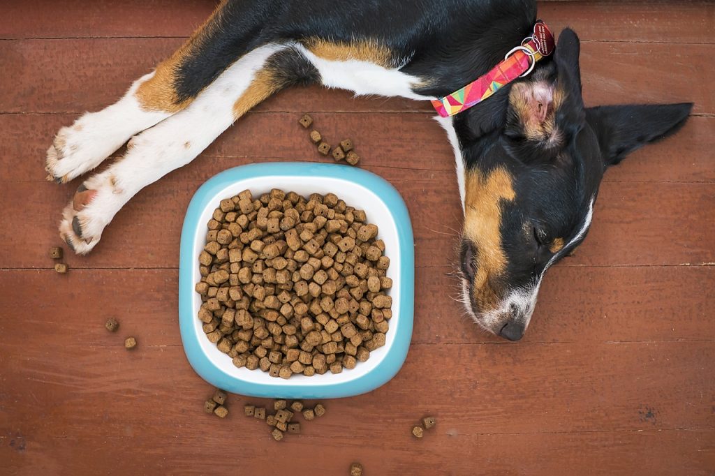 Natural Calming Dog Treats