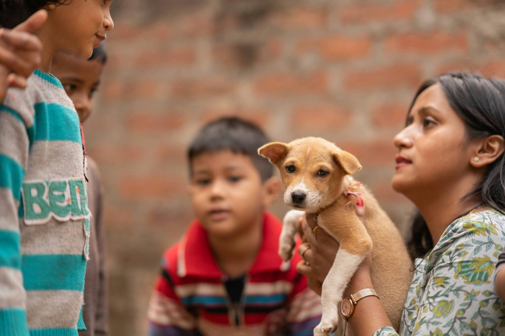 How To Properly Socialize A Puppy