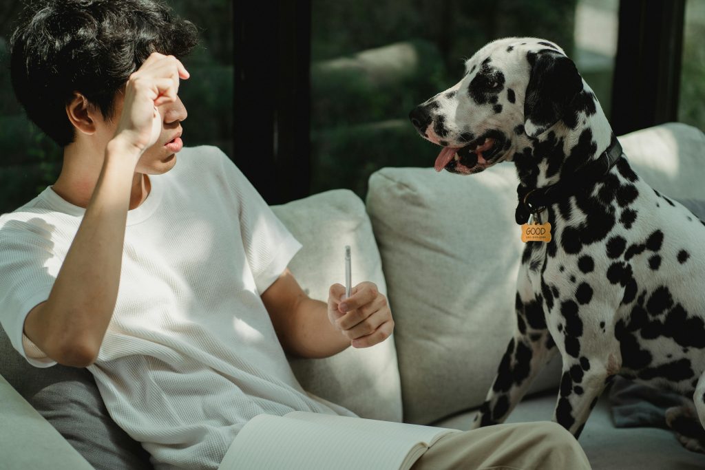 dog training whistle