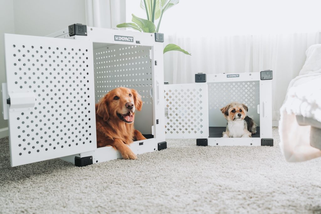 Dog Crate Training