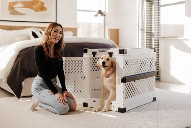 Dog Crate Training