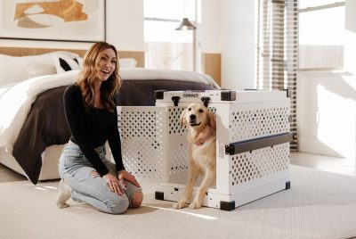 Dog Crate Training