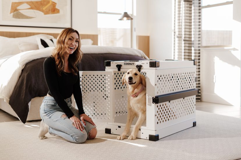 Dog Crate Training