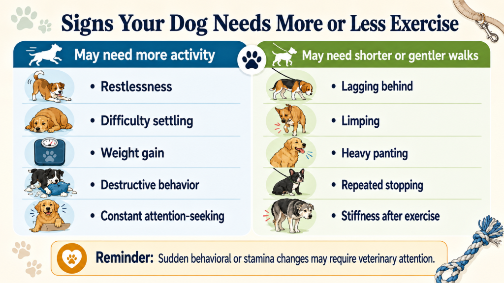 Dog Walking Schedule