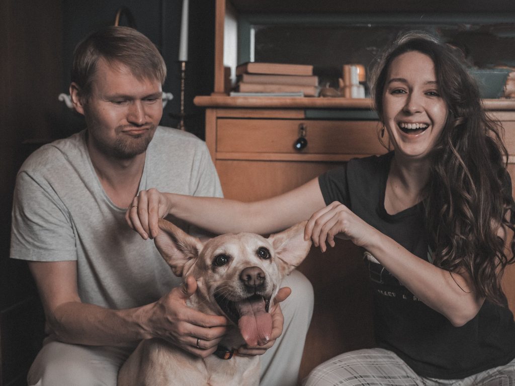 ear cleaner for dogs