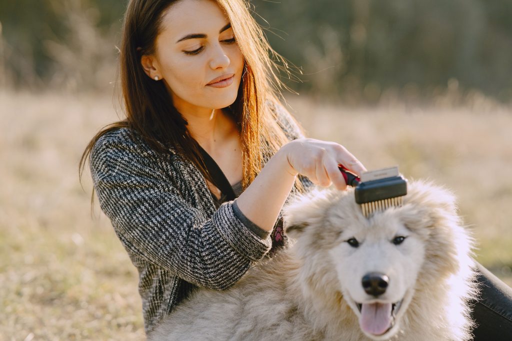 Dog Shedding Tools