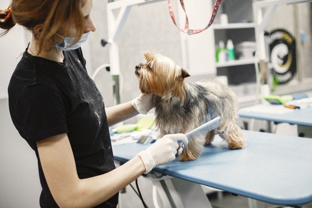 Dog Shedding Tools