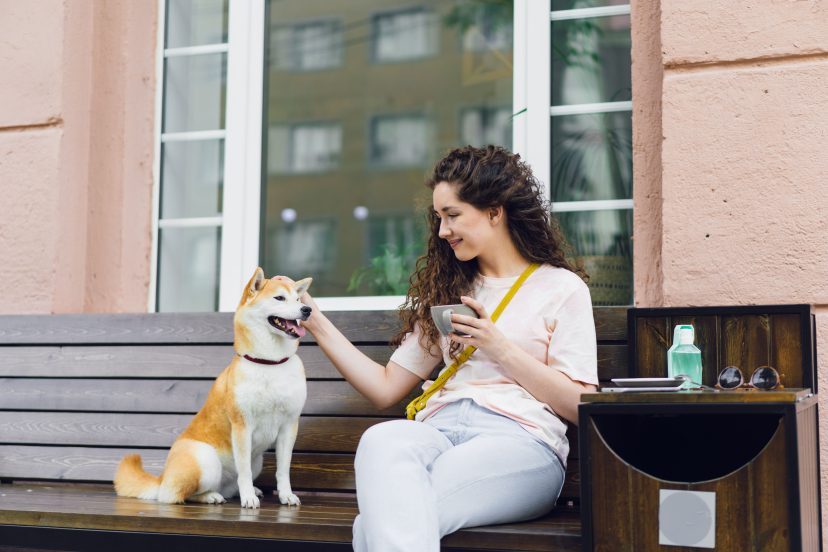Dog Daily Routine