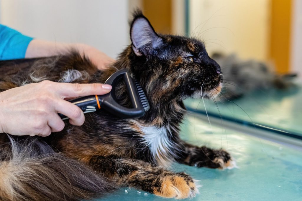 pet grooming table