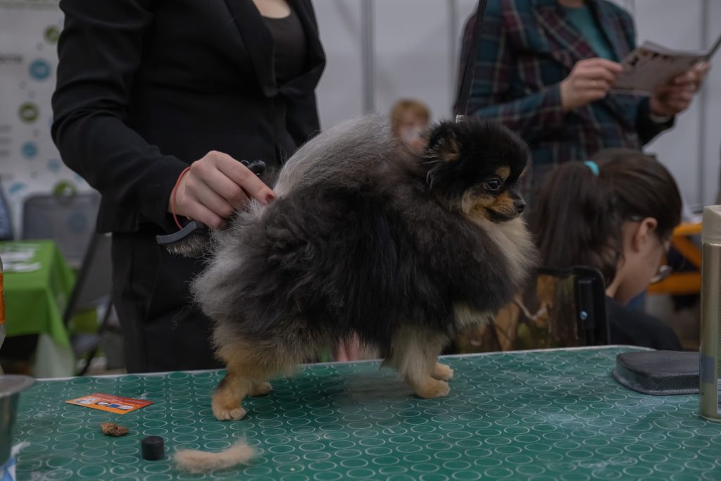 pet grooming table