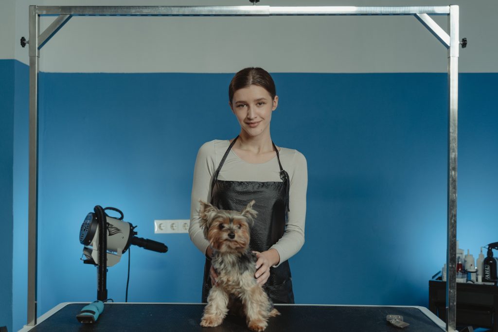 pet grooming dryer